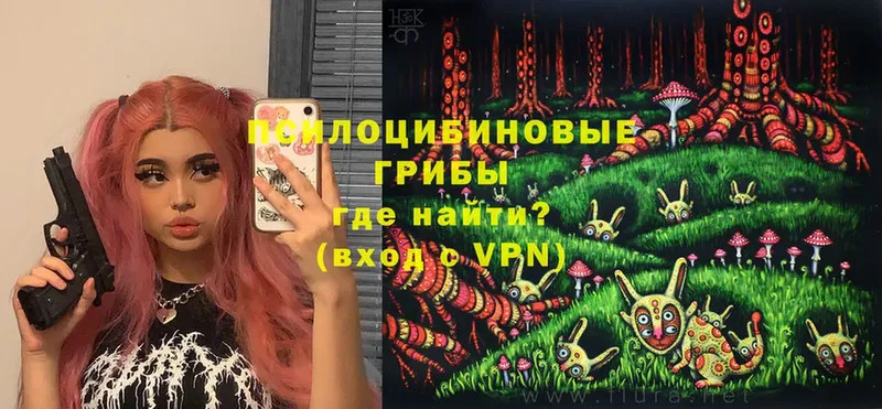 Псилоцибиновые грибы Psilocybine cubensis  купить закладку  Благодарный 